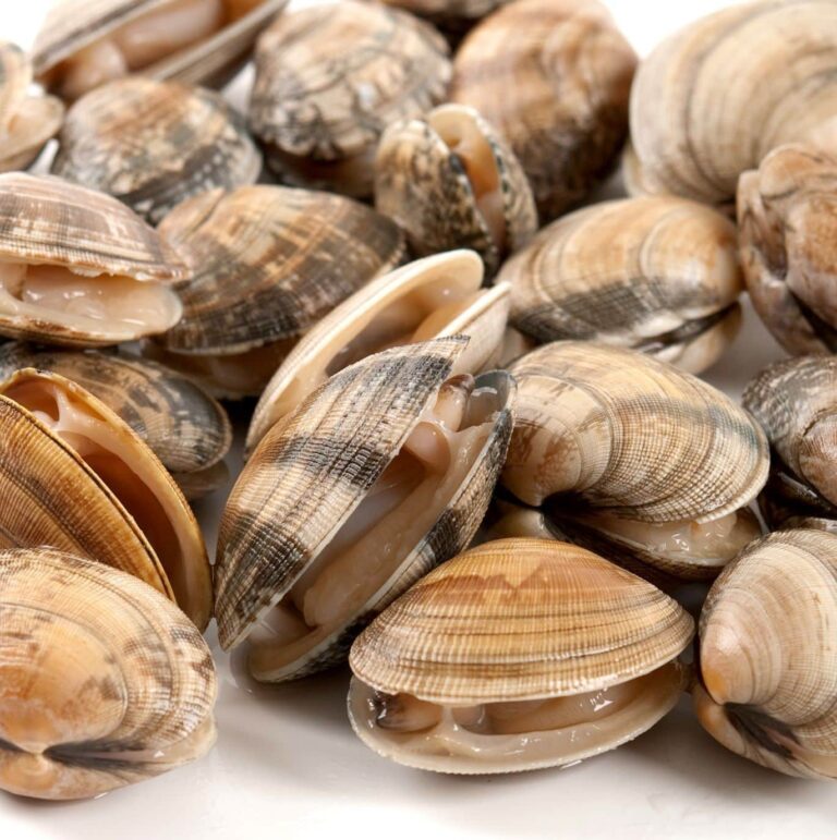 La almeja fina de Corea aporta nutrientes energéticos y saludables