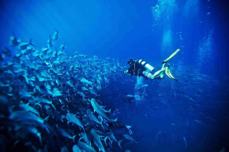 Respirar ‘lujo silencioso’ en Los Cabos: experiencias únicas, personalizadas y en armonía con la naturaleza