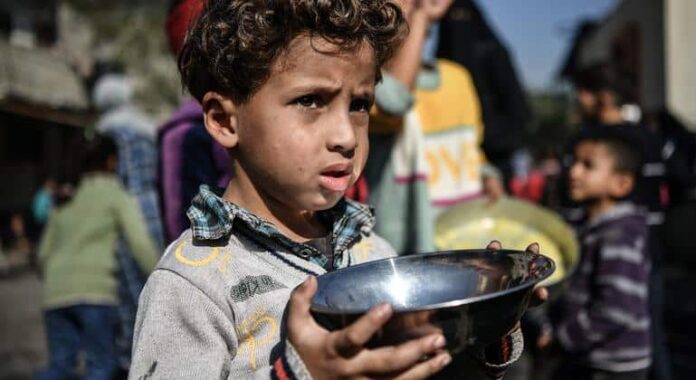 Gaza, COP29, pobreza en América Latina... Las noticias del martes