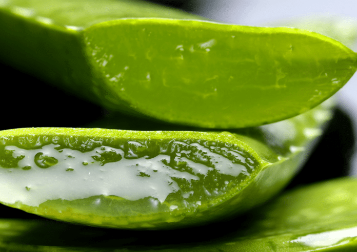 Ebanonatur se consolida como una tienda online de referencia en la venta de cosméticos elaborados a base de aloe vera