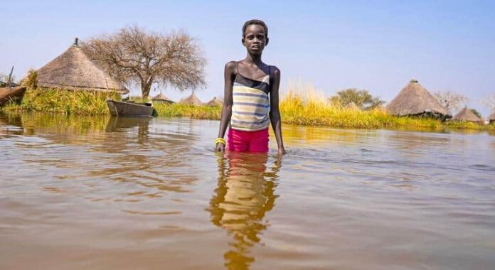 COP29: Los mortiferos fenómenos meteorológicos muestran el coste de la inacción climática