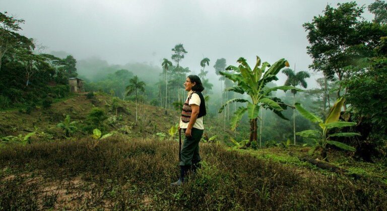 El café, el té y el cacao disparan la factura mundial de las importaciones de alimentos por encima de los 2 billones