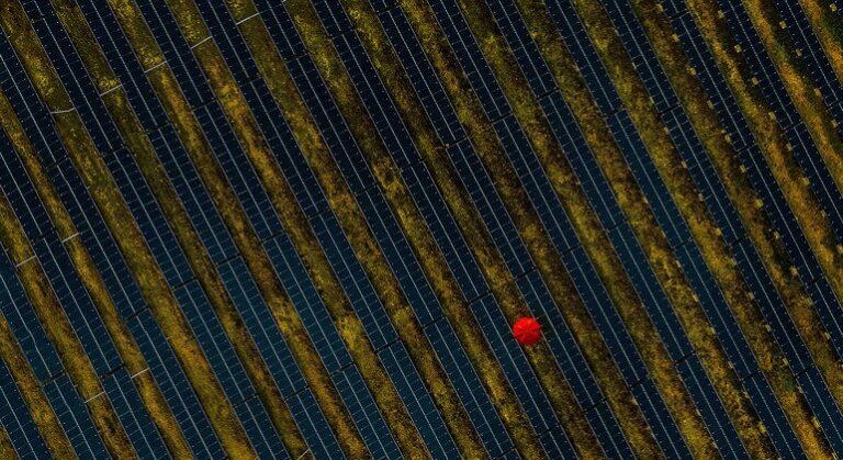 COP29: «Aceleremos en el camino hacia el objetivo de las cero emisiones», afirma Guterres