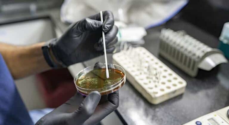 La crisis de resistencia a los antimicrobianos “es ya un hecho”, dice el responsable de la OMS