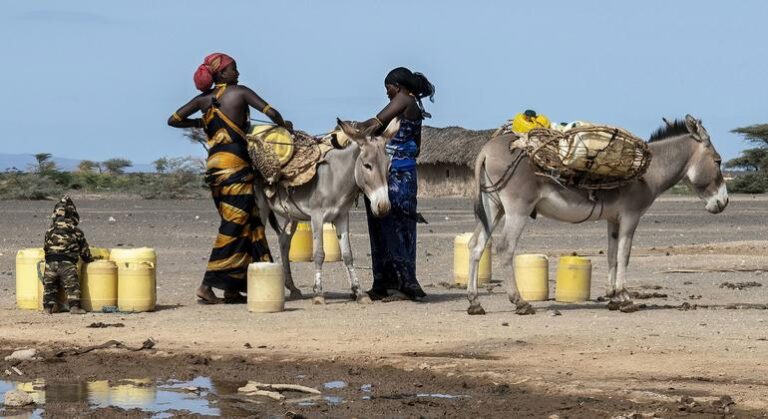 COP29: Las mujeres del África subsahariana dedican 200 millones de horas al día a buscar agua