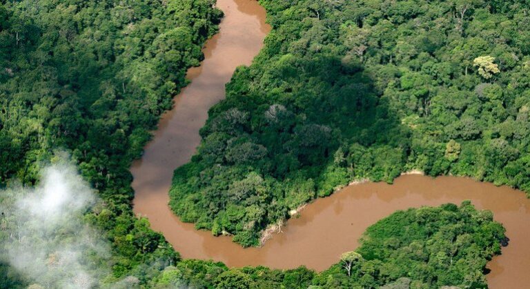 Efectos del cambio climático: La sequía en la Amazonia está dejando a 420.000 niños sin comida ni educación