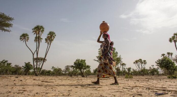 ¿Qué es la desertización? Los expertos confían en que pueda invertirse la devastadora tendencia