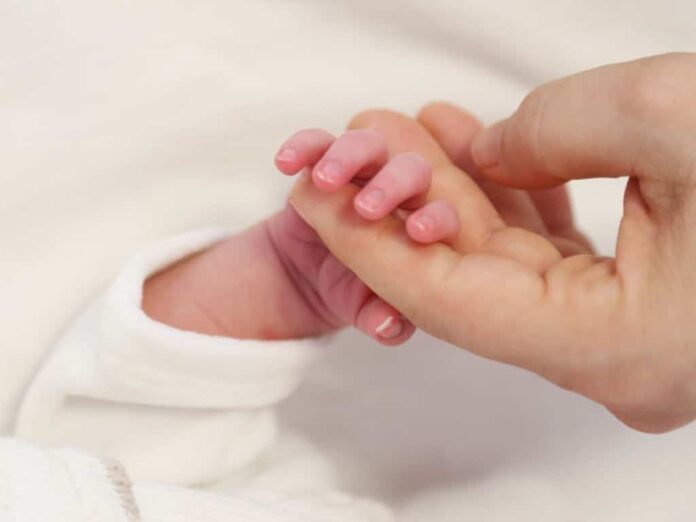 Juan Céspedes, jefe del Servicio de Ginecología y Obstetricia de Policlínica Gipuzkoa: "Las mujeres buscan un parto seguro, con un plan de parto personalizado, y valoran la privacidad y el confort durante su ingreso"