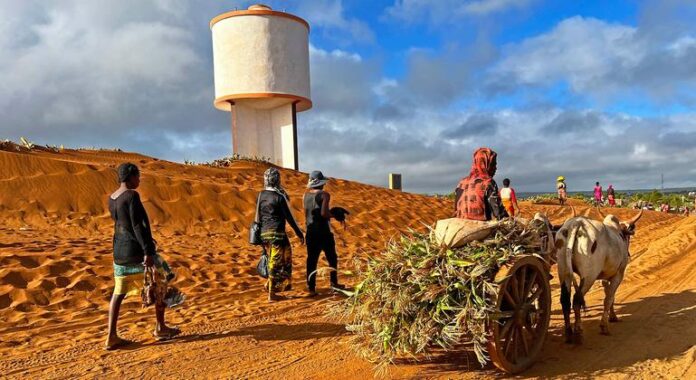 En primera línea contra la desertización