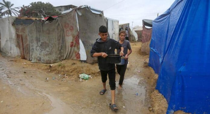 Gaza: La situación es catastrófica, se trata de una crisis global que nos concierne a todos