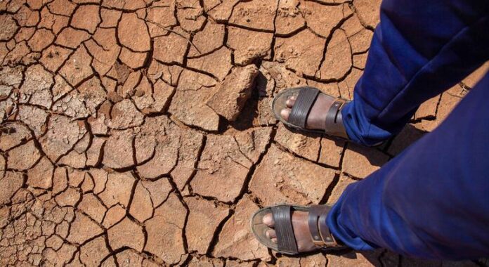 La desertificación y la degradación del suelo afecta a 3000 millones de personas en todo el mundo