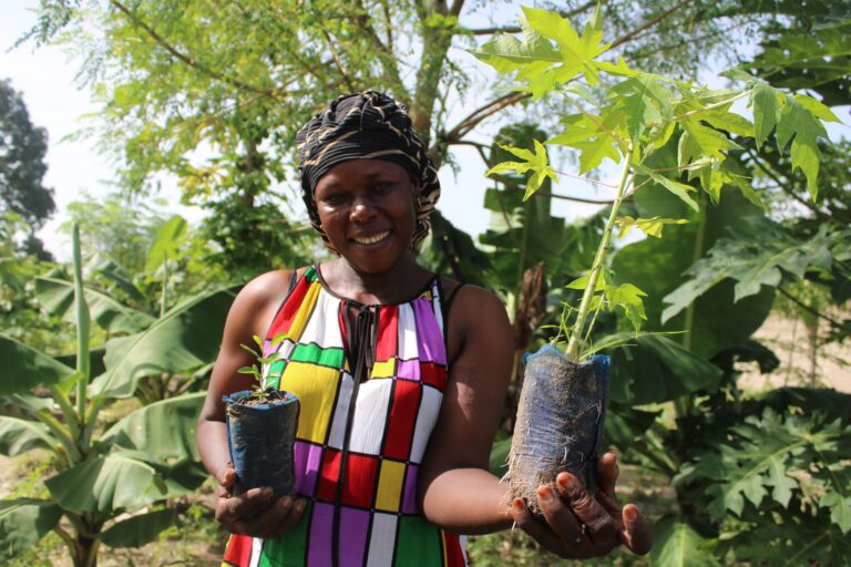 #GivingTuesday: Smoking Paper logra plantar más de 223.000 árboles con el apoyo de sus seguidores