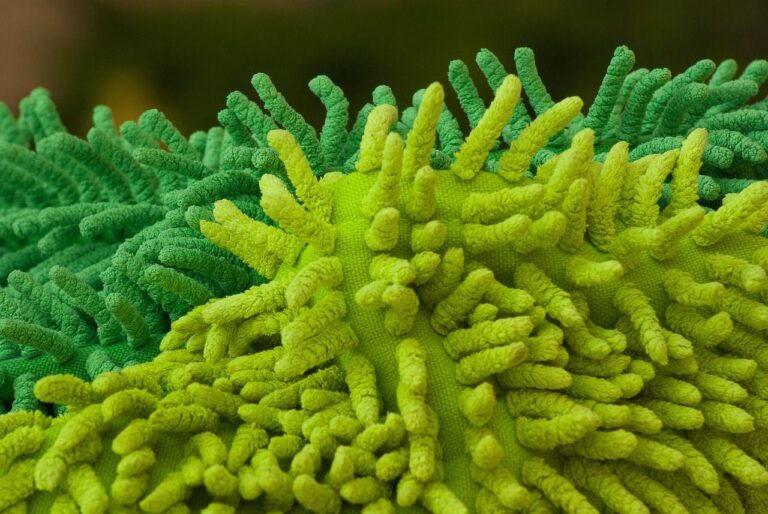 Útiles Empaso presenta los mejores consejos y herramientas para la limpieza eficiente durante las fiestas navideñas