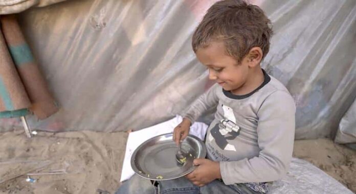 Gaza, ejecuciones en Irán, violencia en Haití, gripe aviar... Las noticias del martes