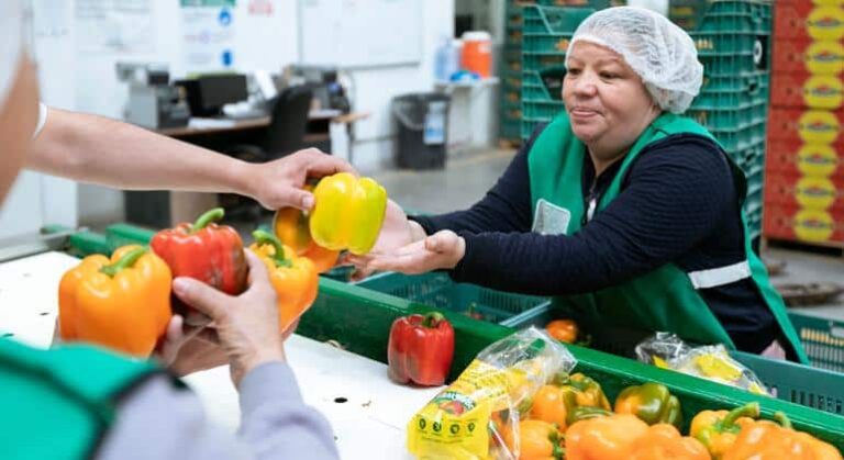 El futuro del mercado laboral está bajo presión