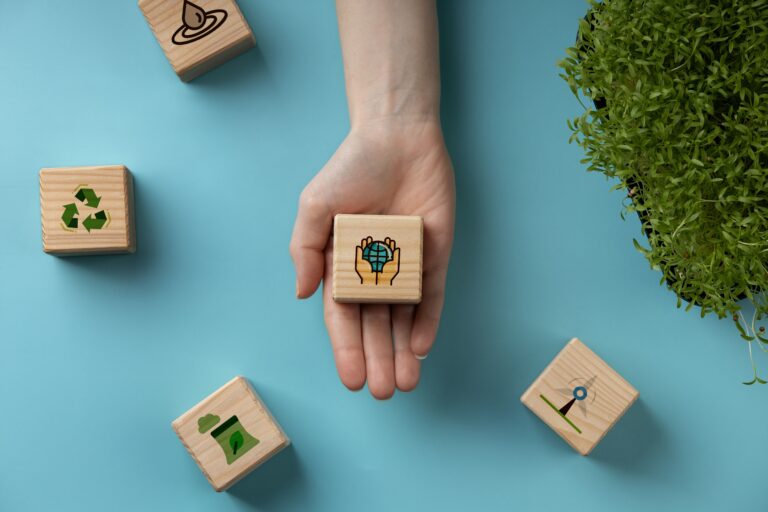 Roll’eat reafirma su compromiso con la sostenibilidad para 2025: "No hay cambio pequeño, todo gesto cuenta"