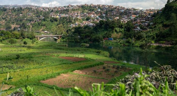 Crisis en RD del Congo: El PMA condena los saqueos en Bukavu tras la toma de una ciudad clave por los rebeldes del M23