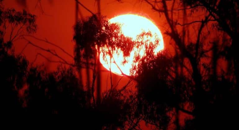 Enero 2025: inesperadamente, el más caluroso jamás registrado