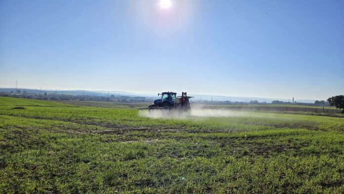 LIFE Innocereal EU mejora la producción de cereal un 17,2% y reduce la huella de carbono un 6,6%