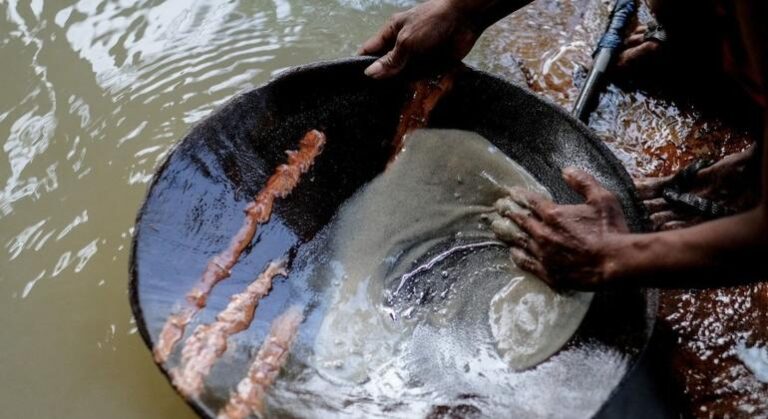 América Latina debe controlar el comercio de mercurio para un planeta más limpio y sano