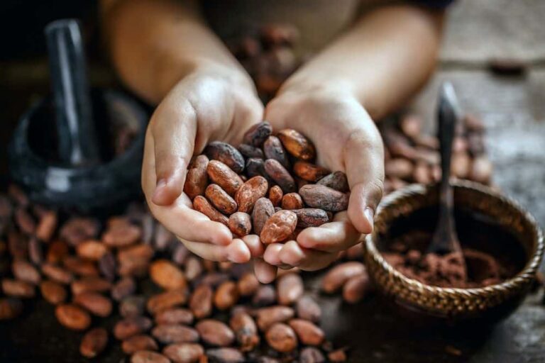 La empresa Areté apunta a una alta volatilidad en el sector agroalimentario con precios récord en café, cacao y aceite de coco