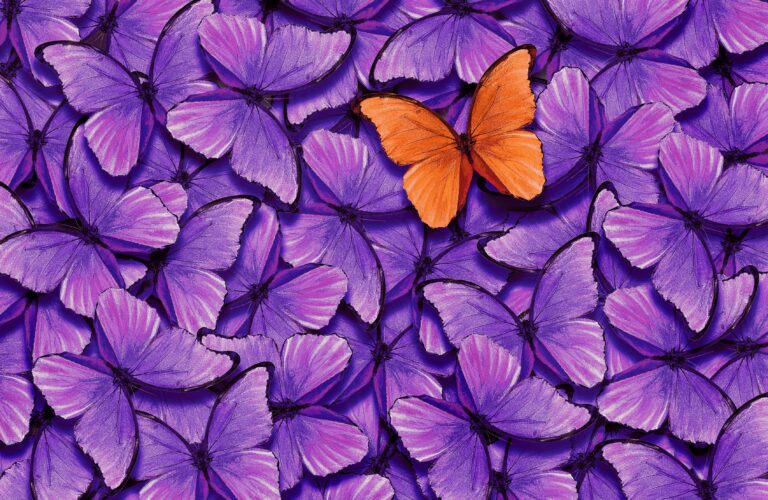 EXTE: 3 claves para captar la atención en un entorno publicitario saturado de contenido