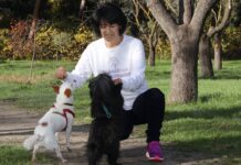 Consejos para Que Perros y Gatos Disfruten de la Primavera Consejos para que perros y gatos disfruten de la primavera según Herbolario para animales