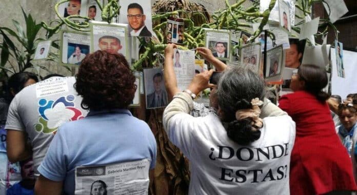 La ONU pide a México investigar el hallazgo de restos humanos en un rancho de un cártel en Jalisco