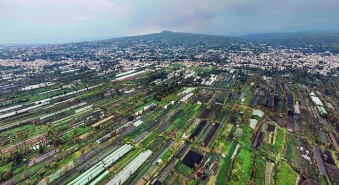Los “chinamperos” han abastecido de alimentos a Ciudad de México durante generaciones, ¿tienen futuro?