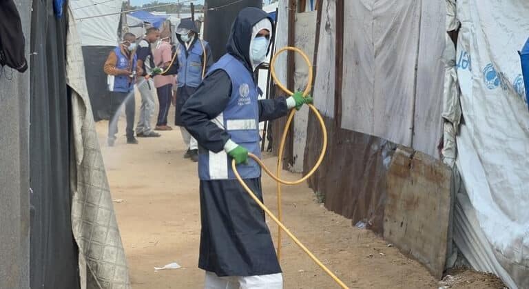 La plaga de ratas e insectos es el último desafío para los habitantes de Gaza