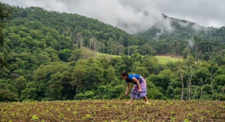 Las comunidades del norte de Tailandia anteponen la naturaleza a las ganancias
