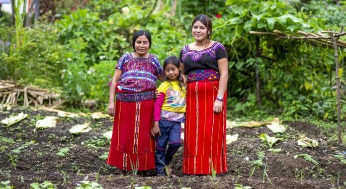 Los Pueblos Indígenas son marginados en la lucha climática global