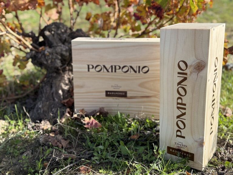 Pomponio: un vino de Bierzo con aroma de Mencía
