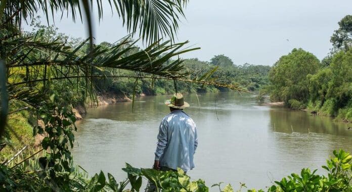 Dignidad y lucha: El derecho a la tierra en Honduras