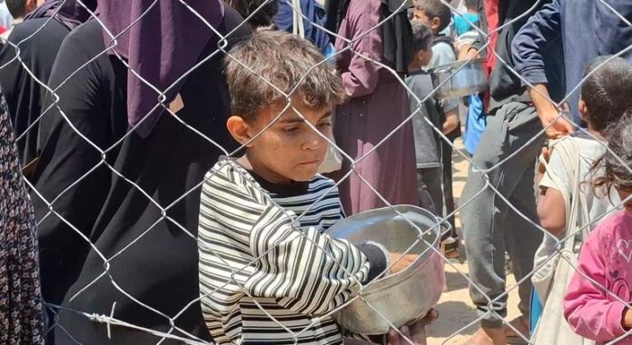 Gaza, Sudán, brote de ántrax... Las noticias del jueves