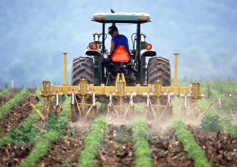 Mascaró Agricultors optimiza la productividad agrícola en Lleida con servicios profesionales y sostenibles