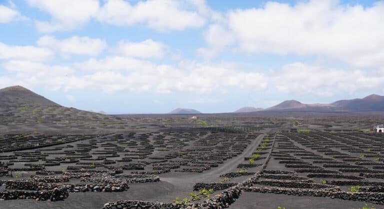 Tres sitios de Brasil, España y México inscritos en la lista de Patrimonio Agrícola de Importancia Mundial
