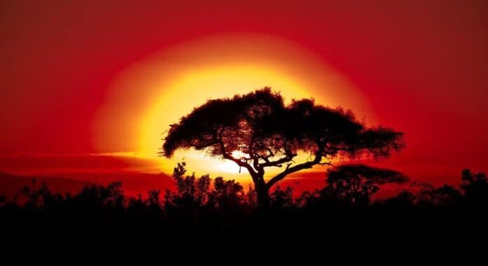 Las predicciones climáticas anticipan temperaturas récord en los próximos cinco años