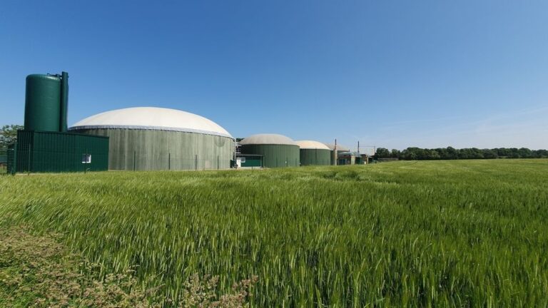 Convertir residuos en energía y contar con expertos que lideren este cambio, dos retos para España