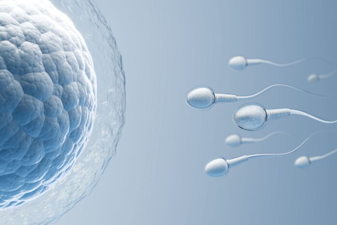 Dra. Estefanía Rodríguez, jefa del Servicio de Reproducción Asistida del Hospital de Día Quirónsalud Donostia y Policlínica Gipuzkoa: "La inteligencia artificial ya se utiliza para seleccionar óvulos y espermatozoides con mayor precisión"