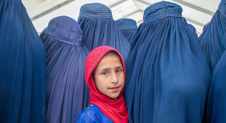 Afganistán: el 80% de las mujeres están excluidas de la educación y el trabajo