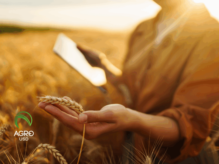 AgroUSD impulsa autonomía financiera en el campo con tecnología diseñada desde la producción