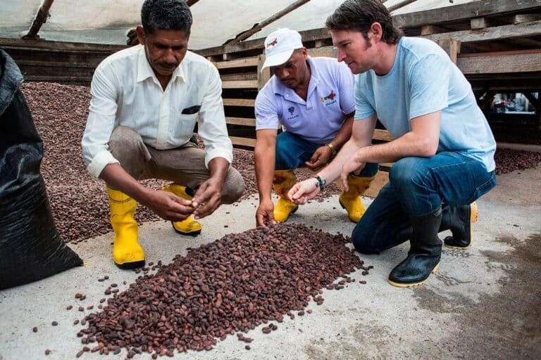 Paccari, el chocolate ecuatoriano que vela por la preservación del planeta y un mundo más equitativo