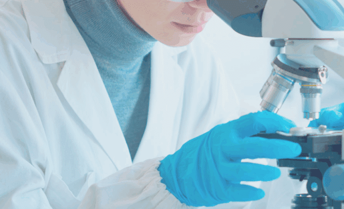 Conejos, clave en avances médicos: investigación ética impulsa la salud humana