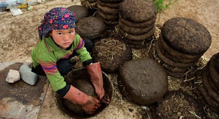 El mundo no ha alcanzado su objetivo de eliminar el trabajo infantil: 138 millones de niños aún trabajan