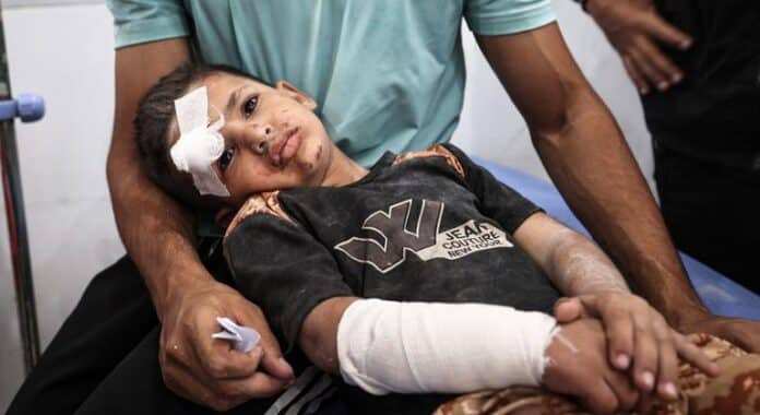 Gaza: Los palestinos tienen la opción de morir de hambre o ser asesinados intentando recibir comida