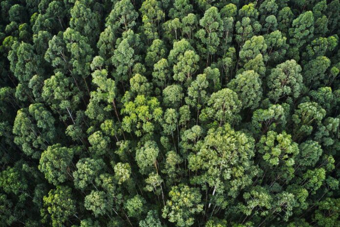 Grupo Copisa reafirma su compromiso con la sostenibilidad climática mediante su participación en la quinta edición del Climate Ambition Accelerator