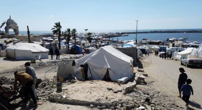 Indefensas ante el hambre: las familias de Gaza rezan por la liberación… o la muerte