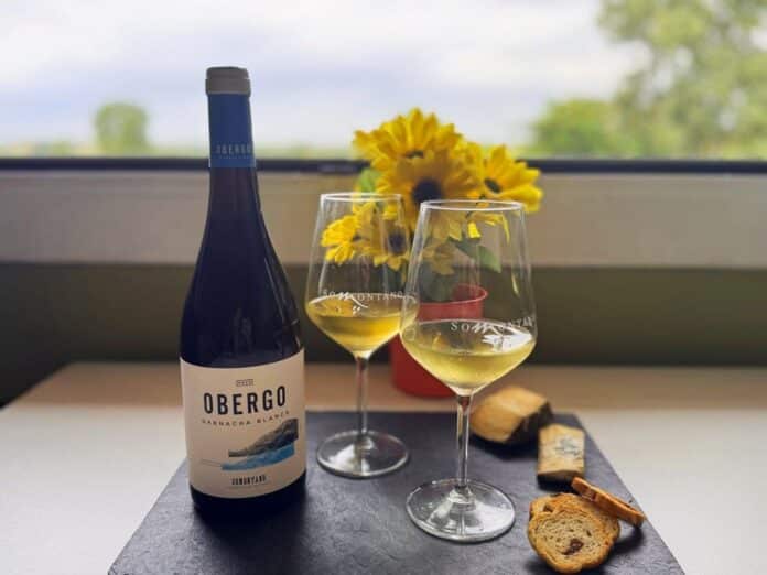 Bodegas Obergo presenta el nuevo Obergo Expression Garnacha Blanca, sinónimo de frescura y singularidad en cada copa