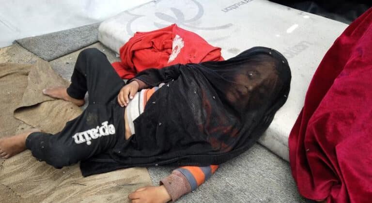 Gaza, violencia en Colombia, Annalena Baerbock presidirá la Asamblea General... Las noticias del lunes